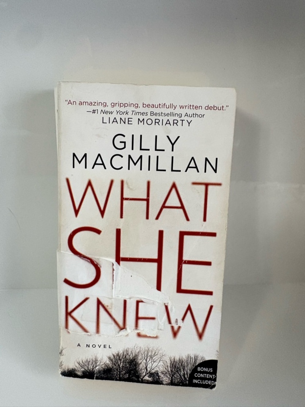 📚 3/$25 📚 What She Knew by Gilly Macmillan Book